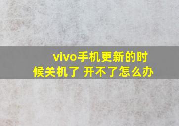 vivo手机更新的时候关机了 开不了怎么办